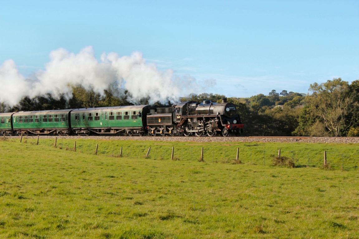 bluebellnutter's tweet photo. NEW - Photos of @bluebellrailway Giants of Steam now available at https://t.co/BiS1niPHZ4
#steam #trains #railways #railwayphotography #sussex #westsussex #eastsussex #giantsofsteam #visitsussex #britishrailways https://t.co/b0uCBhv62T
