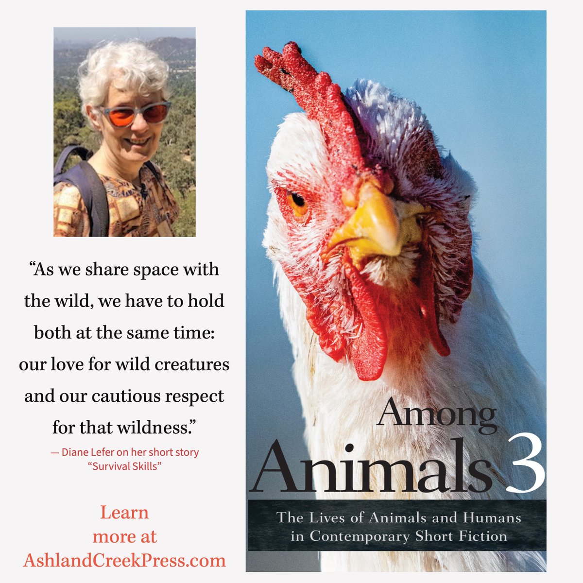 EcoLitBooks's tweet photo. ICYMI,  @DianeLefer's incredible story "Survival Skills" appears in AMONG ANIMALS 3, available from @AshlandPress !
https://t.co/F6oToTtk2h
#wildlife #urbanwildlife #writingforanimals #animals #fiction https://t.co/A0hJIGFn0r