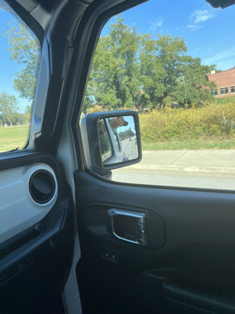 terrye_thorp's tweet photo. I told Journey we were going to go see Nitto after I cleaned up in the kitchen. She got her harness and proceeded to carry it around while barking-she was excited about a playdate.
Head out the window on the highway- living her best life.
#Journey #rescuepup #Jeep #Jeeppup https://t.co/gFllqt7L3Y