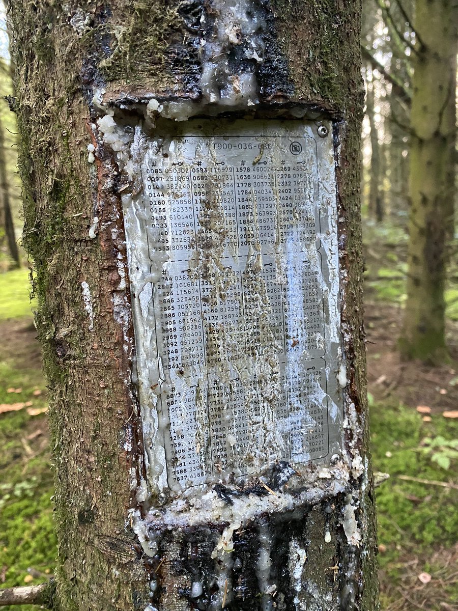 På Deep Forest Art Land i det vestjyske er et af kunstværkerne dette NemID nøglekort 🔑 Hvordan mon det klarer den tvungne opdatering til MitID? 👀