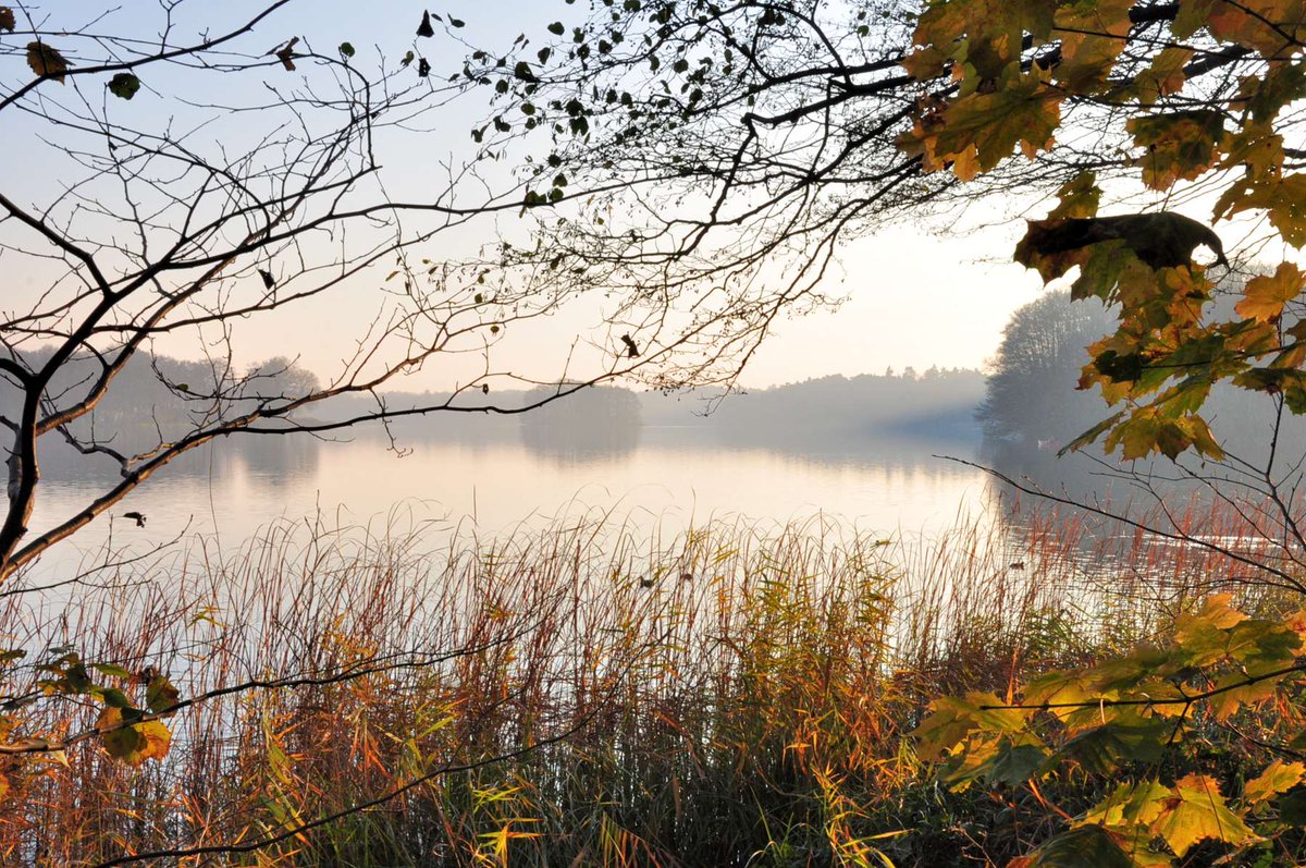 THX 4 FOLL RT Like👉shop.kusera.de👈<a href="/johann_boresch/">Johann Boresch</a> @rastasack <a href="/ChantelleMonto6/">Chantelle Montour</a> <a href="/MKHardyPhoto/">Matt Hardy</a> <a href="/Yo_Artilugia/">MiMisma 🧝🏻‍♀️♊️🔮🇺🇾</a> <a href="/RobEdmunds11/">Rob Edmunds</a> <a href="/RebeccaLMahan/">Rebecca L. Mahan</a> <a href="/HollowManSeries/">Paul Hollis</a> <a href="/mcbeaumont_jr/">James BeauMont ™️</a> <a href="/yoga_and_more/">Jörg Rainer</a> <a href="/RogelioGalvn2/">Rogelio Galván 🇩🇪🇲🇽</a> <a href="/ClockworkHamma/">Clockwork Hamma</a> <a href="/FWWinterberg/">Franz W.Winterberg</a> <a href="/TheEndOfJAPAN1/">Vail : ヴェイル (The End Of Japan)</a> <a href="/wiergeezy/">Paul Edward Wiersgalla</a> <a href="/Zaubermaus57/">Reginas Tierrettung Preveza Griechenland 🐱</a>🍀