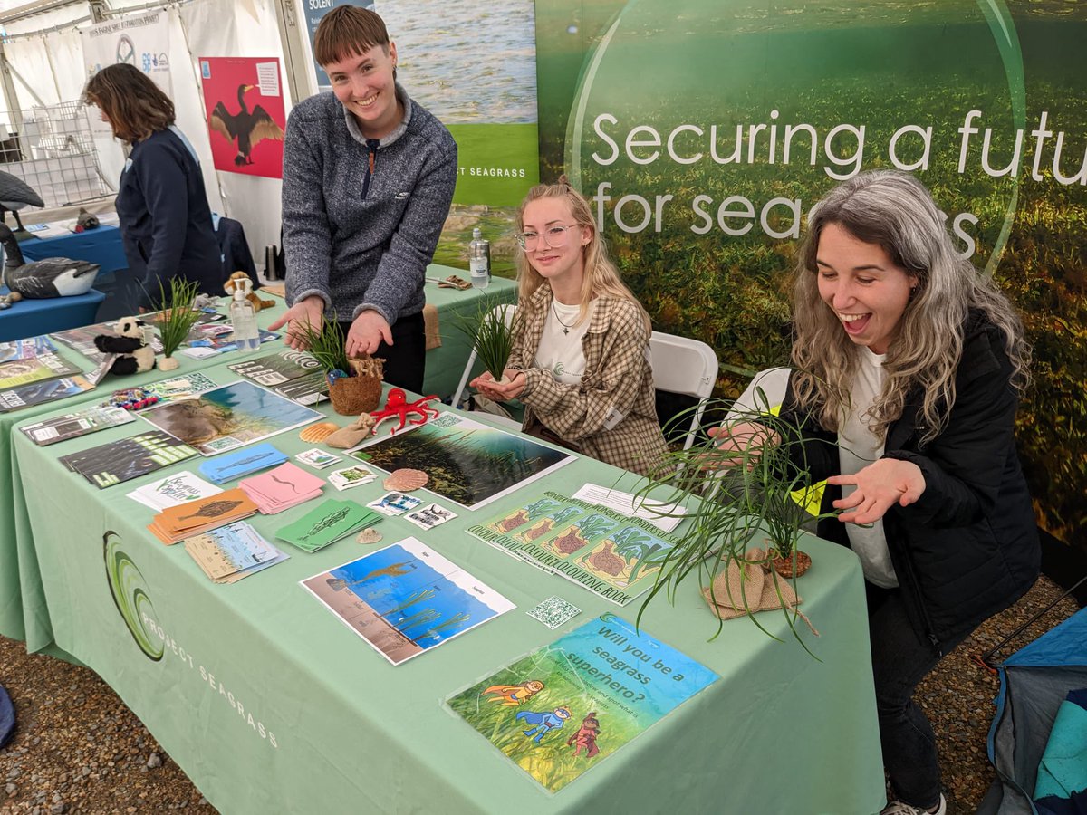 Fantastic couple of days at the @hullabalooiw art and science spectacular festival. Thank you for coming to say hi and play #seagrass jenga with us! ✨🌱 #teamseagrass