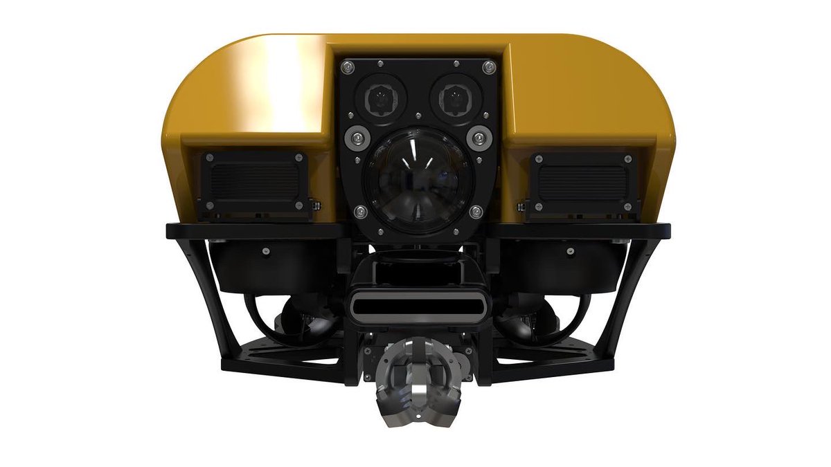 Casey Sapp tweet media