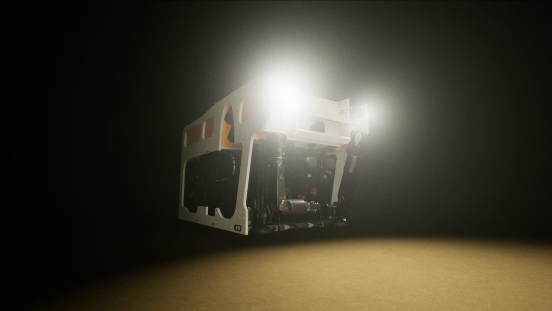 Casey Sapp tweet media