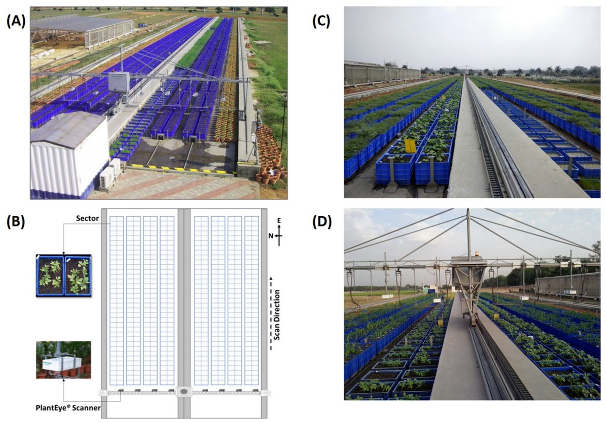 Sensors_MDPI's tweet image. Machine Learning-Based Plant Detection Algorithms to Automate Counting Tasks Using 3D Canopy Scans
mdpi.com/1424-8220/21/2…
@cuhabermerkezi 
@ICRISAT 
@CZUvPraze 
@IITHyderabad 
#3Dpointclouds #plantdetection #machinelearning #computervision