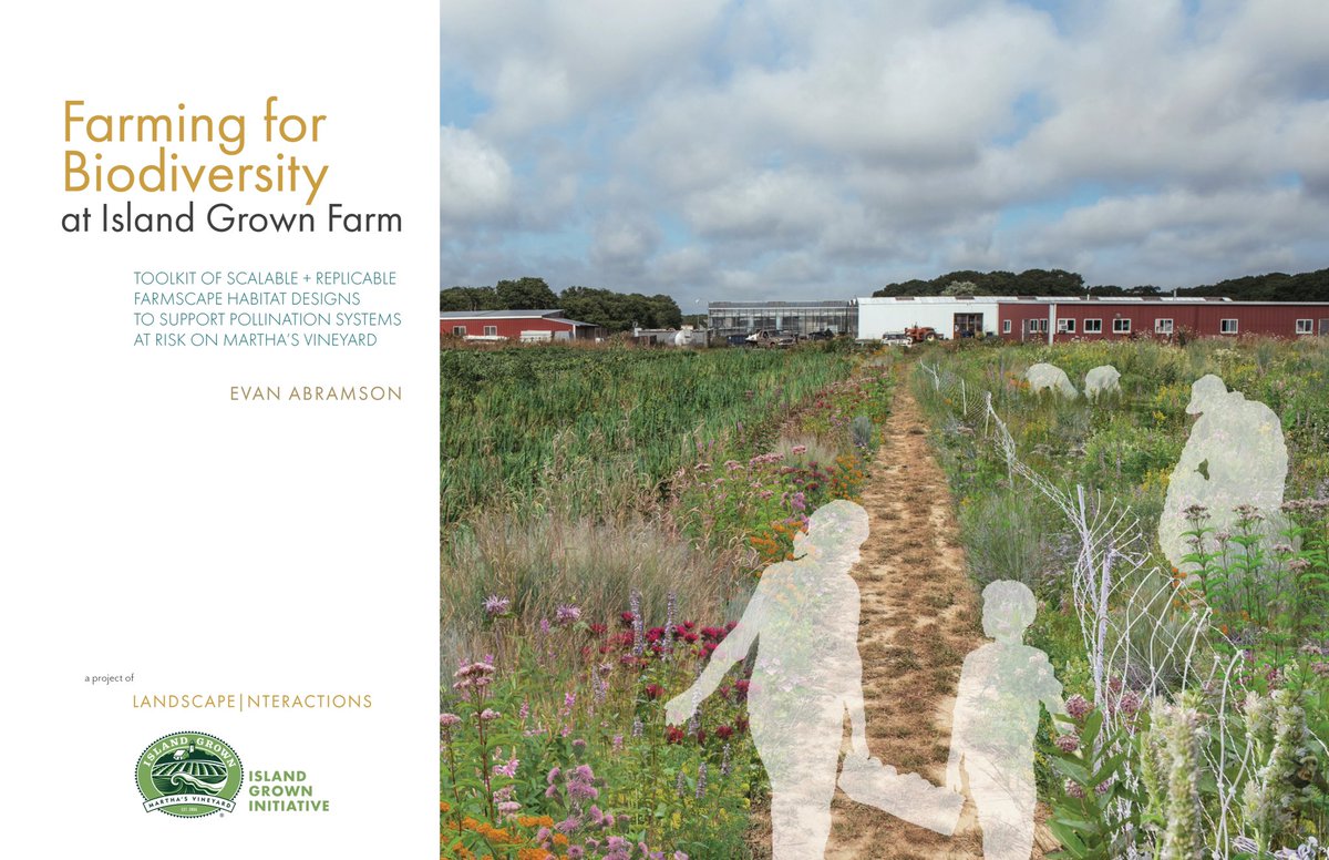 Landscape Interactions launches Farming for Biodiversity, a guide for creating habitat on farmscapes across Martha’s Vineyard to support at-risk pollinators. drive.google.com/file/d/1-alOU6… @MassPollinators <a href="/bymattkelly/">Matt Kelly</a> <a href="/alannogee/">Alan Nogee</a> <a href="/judithdschwartz/">Judith D. Schwartz</a> <a href="/RegenFdn/">Regen Foundation</a> <a href="/DaveGoulson/">Dave Goulson</a>