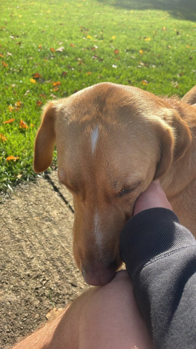 Weekend full of memories. 🤍🍂