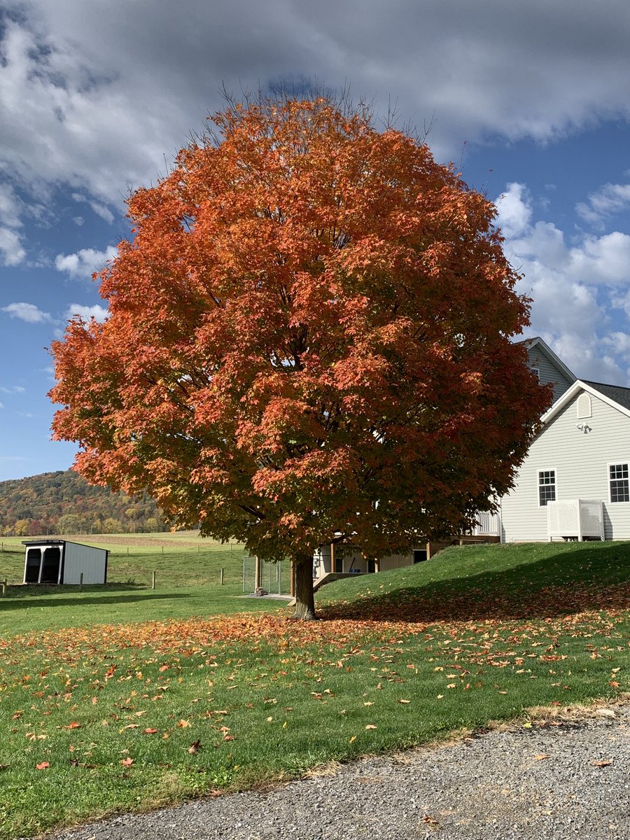 Emily Brown tweet media