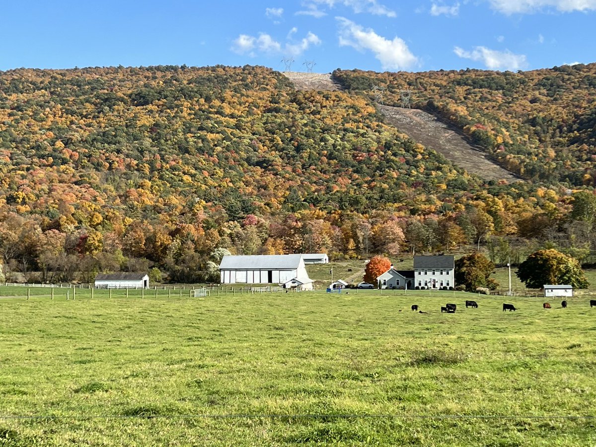 Emily Brown tweet media