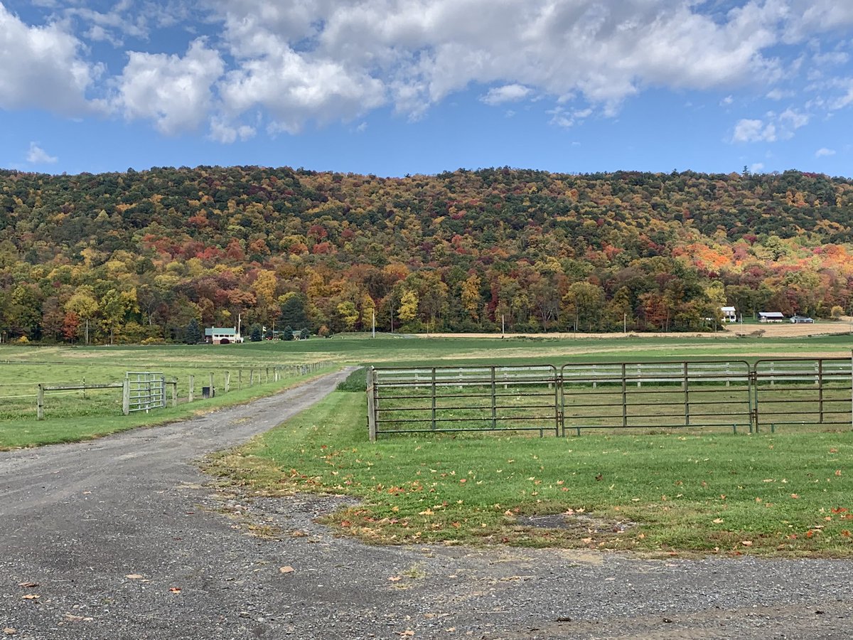 Emily Brown tweet media