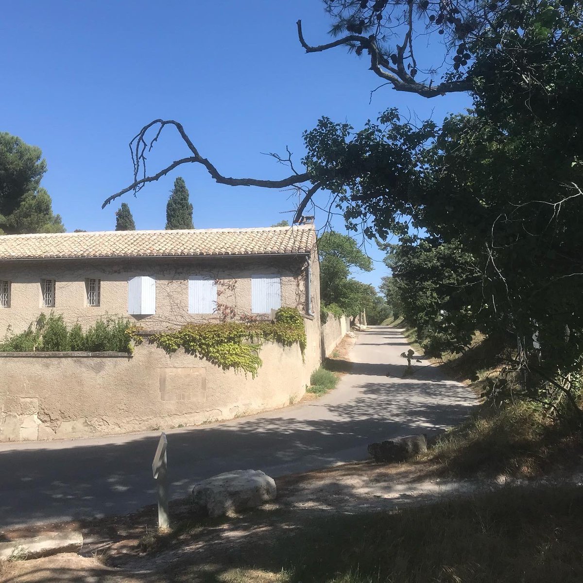 jvrlwg's tweet photo. “Es un paisaje de felicidad extrema, también en colorido. Haría juego con ese estudio del dormitorio que está deteriorado.” Carta a Theo,Mayo 1889). La presencia del aura en cada rincón -casi trescientas piezas- de #StRemy #art #painting #places #vangogh #provence https://t.co/02dKUAedjH
