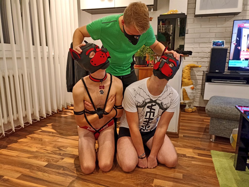 Erboy692's tweet photo. My playful puppy @PuppyPerry1 meet a new friend @Pup_Rex_CZ after he learns about my bondage skills.
Between us, I don't think he's an omega 🤭.
I think their alpha @_Kuro_exe and beta @Puppy_Tomik like too 😏. https://t.co/5Y6W8Cvzwt