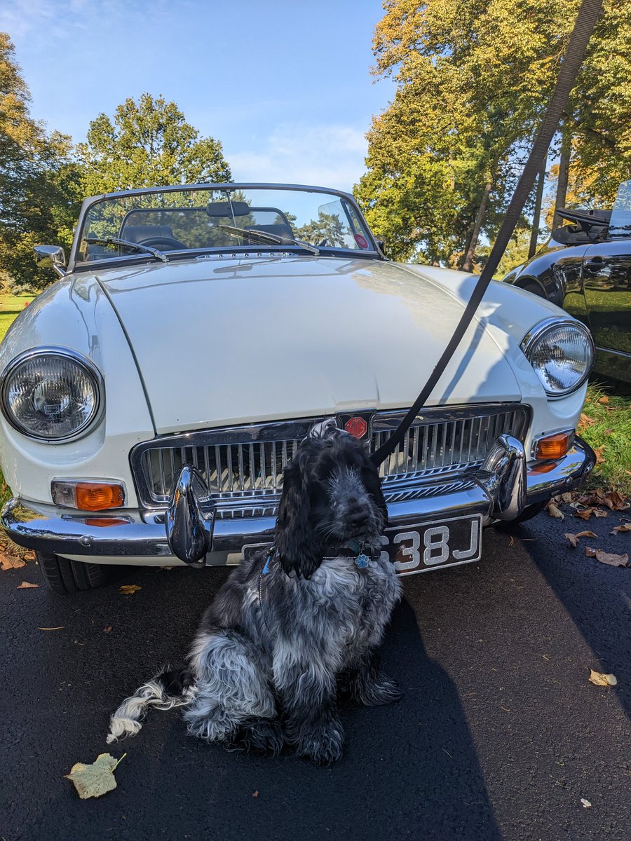 avmark82's tweet photo. Louis's first #CoffeeandChrome meeting at #chateauimpney. https://t.co/JSDy9WKzUj