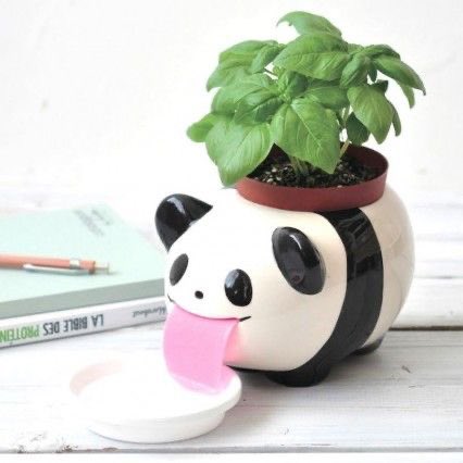 SoftnessDaily's tweet photo. self watering plant pots 🎀 https://t.co/98OJjLnCWu