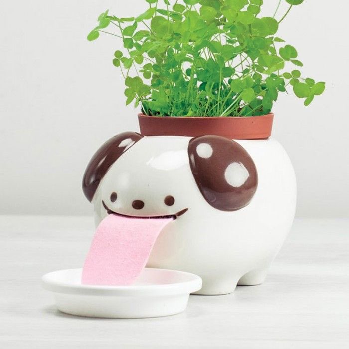 SoftnessDaily's tweet photo. self watering plant pots 🎀 https://t.co/98OJjLnCWu