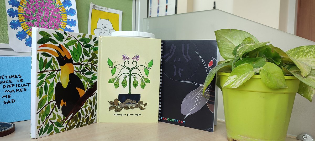 mrunalnkulkarni's tweet photo. Received these lovely notebooks from @scirio last month as a twitter giveaway prize.. The illustrations are absolutely beautiful😍✨ 
@pg134gupta @Rupsykhurana @RitveeT https://t.co/me5Tt0NdD6