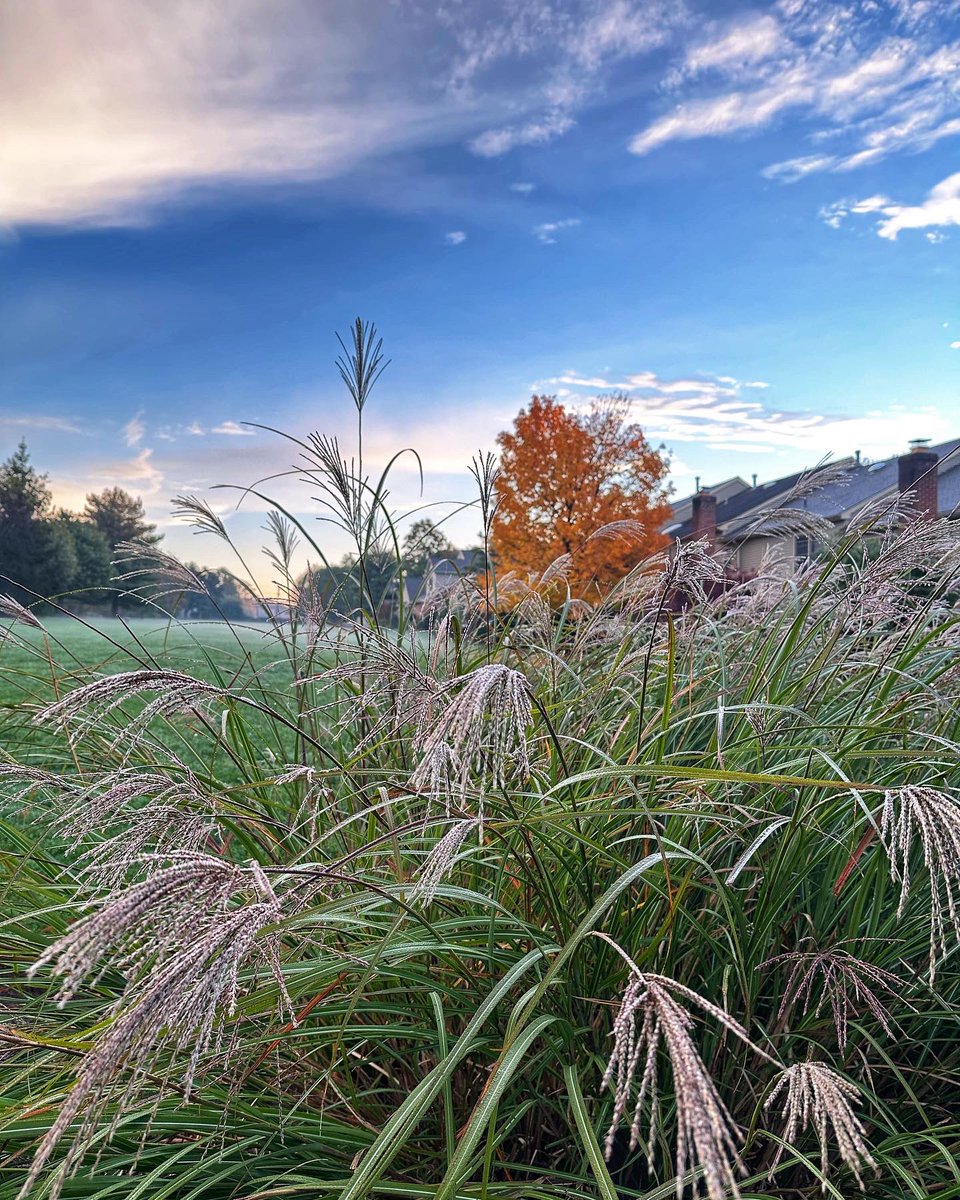 Beautiful fall morning… #FallLeaves #beautifulday #beautifulstart #sundayvibes #fall