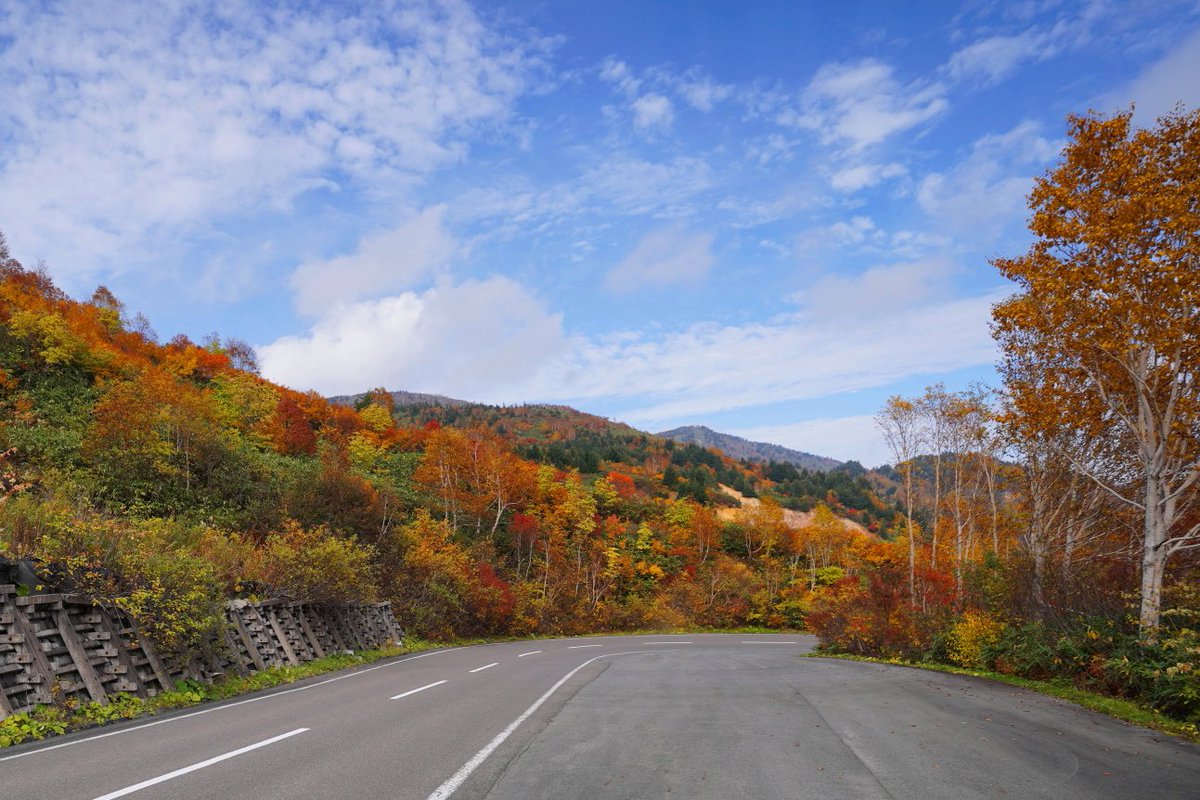 Katto08824360's tweet photo. 八幡平茶臼岳から望む岩手山
そしてアスピーテラインの紅葉
���ノトーンと極彩色の一粒で二度美味しい季節
#八幡平 #茶臼岳 #アスピーテライン https://t.co/qjNgR1jiDg