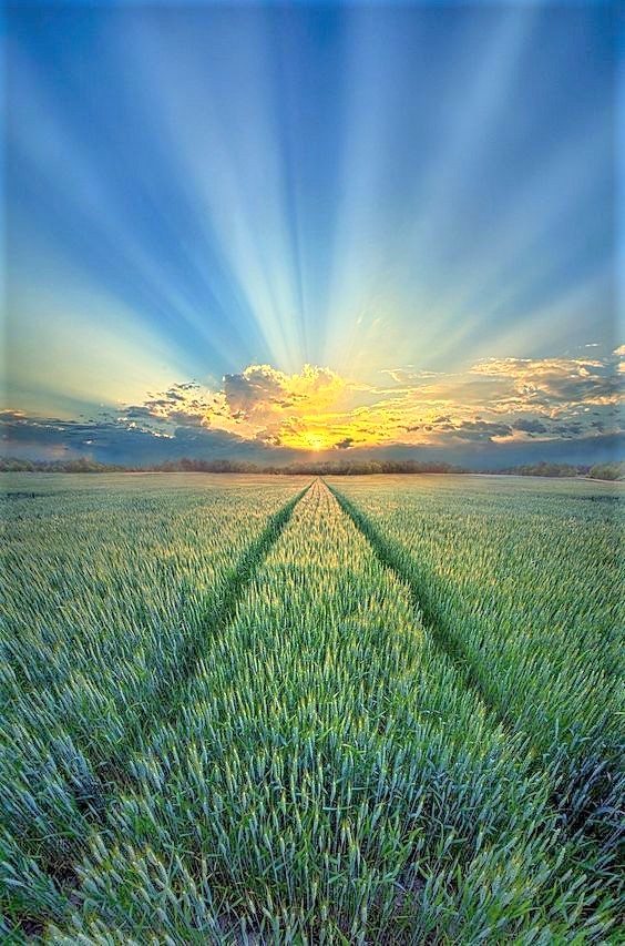luthier_lj's tweet photo. Buen día amigos de Twitter

Domingo, día del Señor

Comienza este día y vive totalmente feliz de la mano de Dios Nuestro Señor, que hoy abunden sus grandes bendiciones en ti, tu familia y amigos.

Gracias Señor por este nuevo día. Feliz domingo. https://t.co/hQgII4D0k5