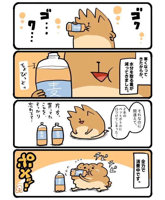 最近の水分摂取量。 #エッセイ漫画 