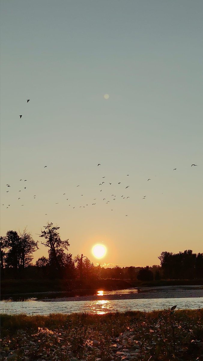 KateOreen's tweet image. nature ❤️