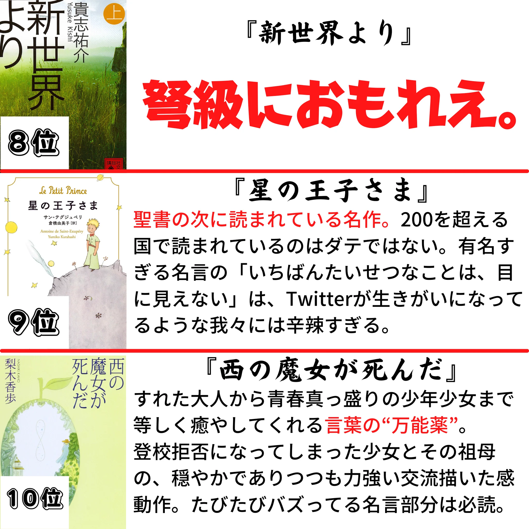 小説好きの魂を煮詰めたようなランキング！！次読む小説の候補にいかがでしょうか？！