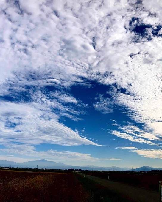 今日の空 