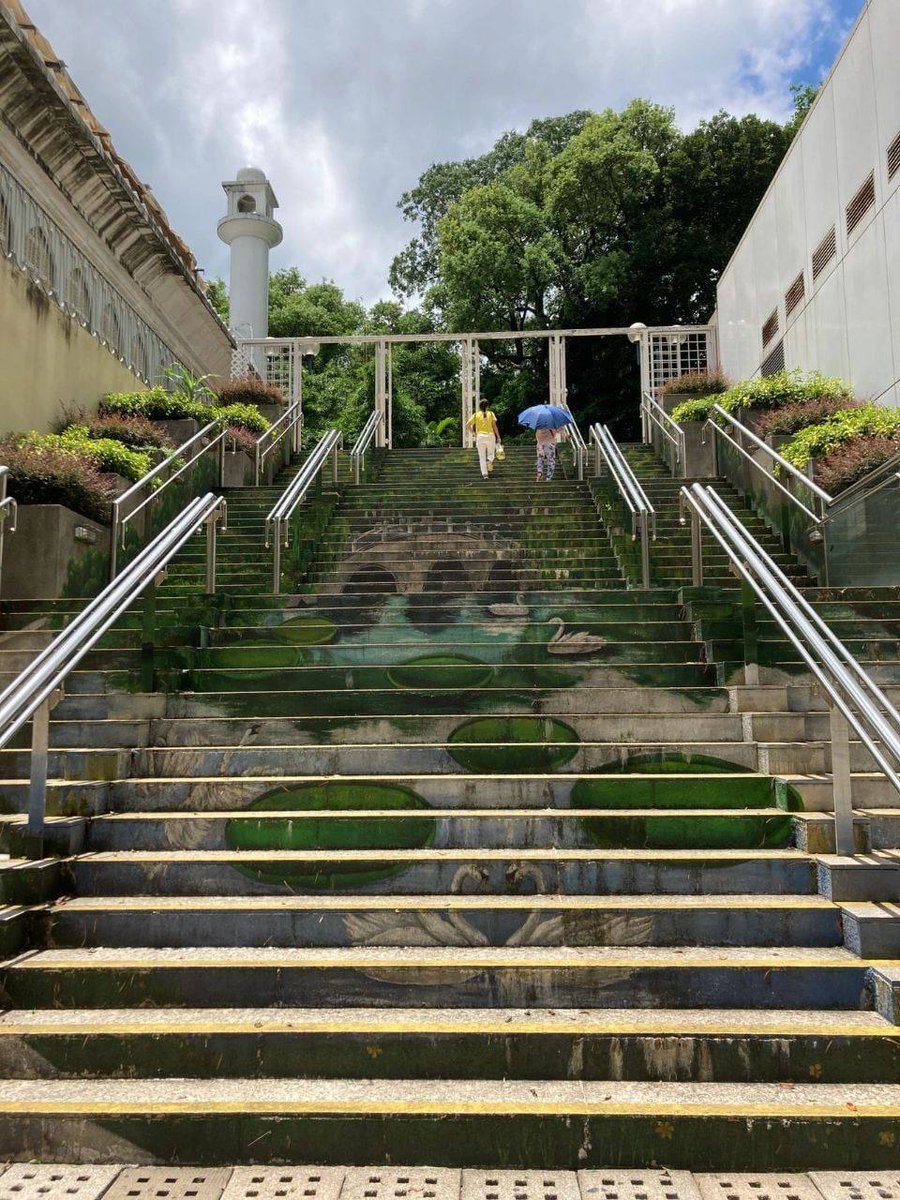 yangannaice's tweet photo. The new road is often narrow at first, but it is a prelude to its own extension and broadening. https://t.co/Bbt6fy83VB
