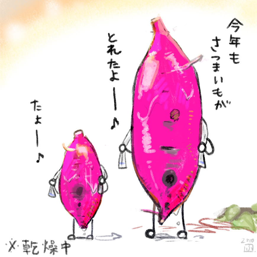 ハロウィンが近いですね!。
というわけで今年もさつまいもの季節です 