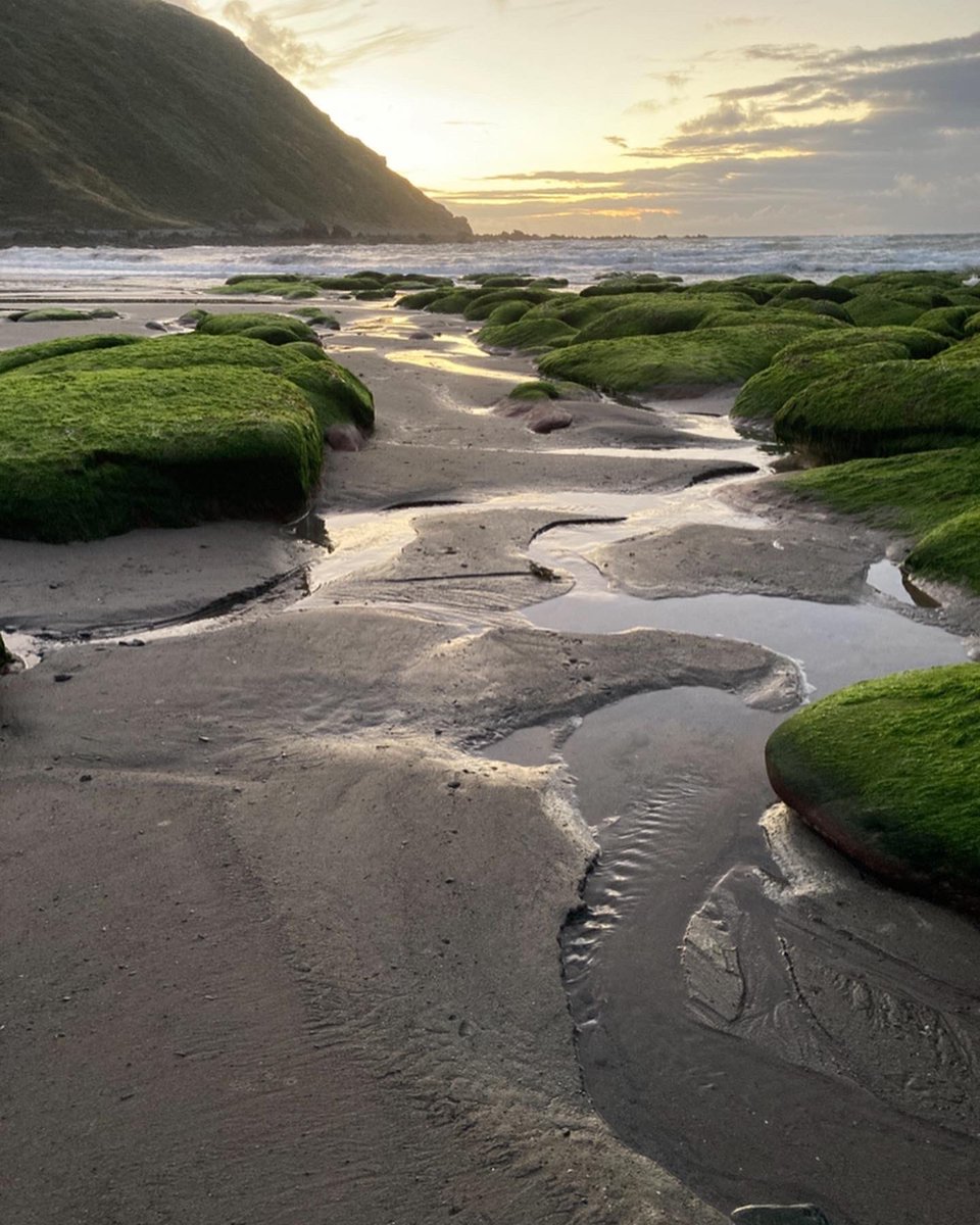 Trip to Scotland last month, much needed break away to recharge and slow down for a bit
#scotland #scotlandphotography #scotlandexplore #scotlandsbeauty #Gamrie #beach #sea #gardenstown