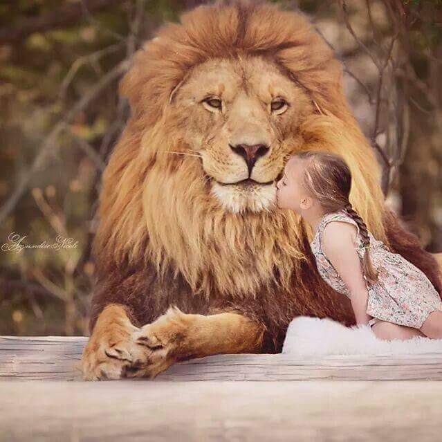 ينشرح المرء لبعض الناس بلا سبب! فيجد نفسه يُفضِي إليهم من خفايا حاله كأنه يُحادثُ نفسه ، حتى إذا قضىٰ حديثَه  يتعجَّبُ : لم أَفضيت إليهم بهذا الحديث ، ولكنه يبقىٰ مطمئنًا ، يأمن جانبهم ، ولا يجد في نفسه حرجًا من الإفضاء إليهم 
والأرواح سرٌّ!

.

.

                  #قلب_الاسد