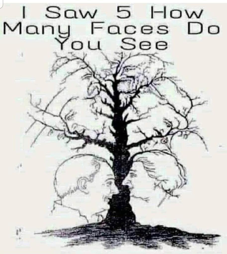 jvnaidoo1's tweet photo. Go on, have some fun. https://t.co/yujhBeZyGP
