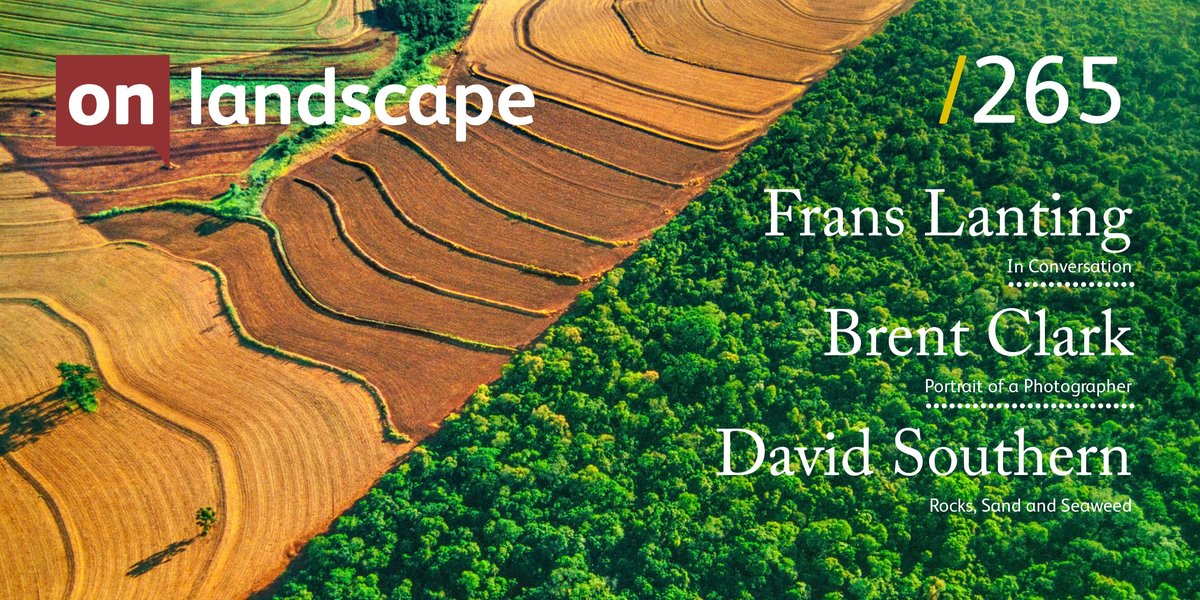 on_landscape tweet media