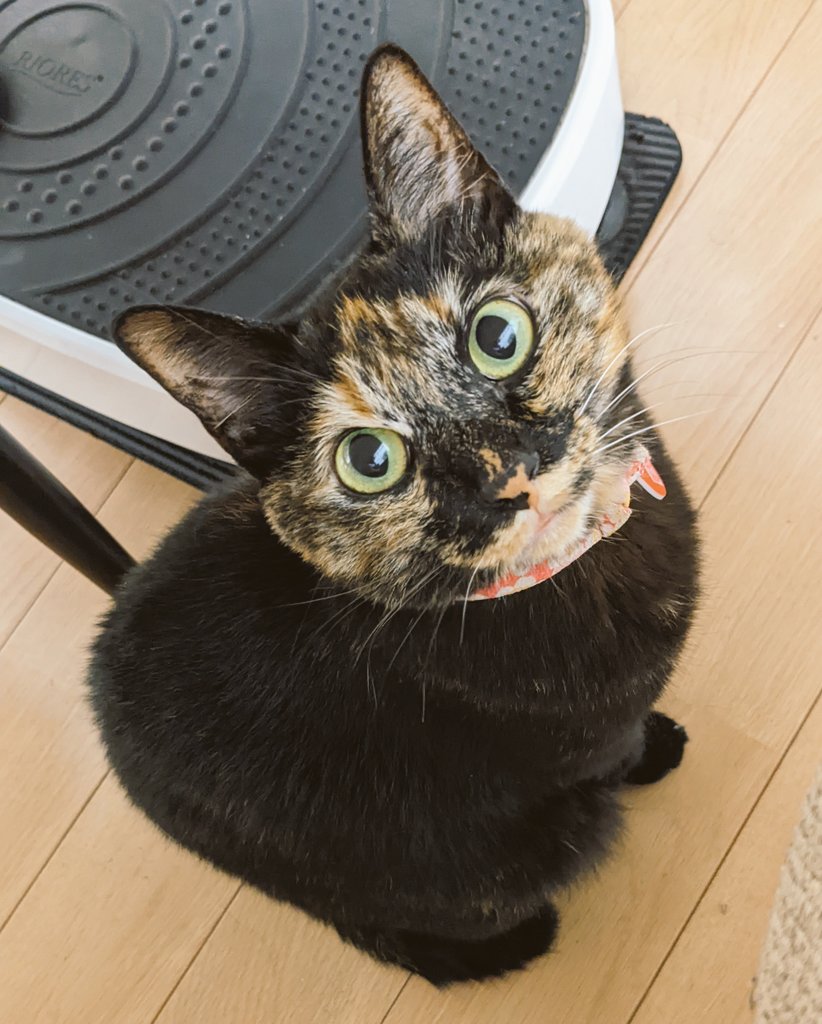 Ligqovokchwelm Ligqovokchwelm