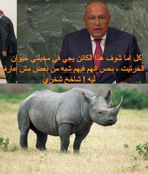 #ارحل_يا_سيسي  في ستين داهية الي مثواك في مجمع الصرف الصحي لمصر #احشد_ليوم_11نوفمبر