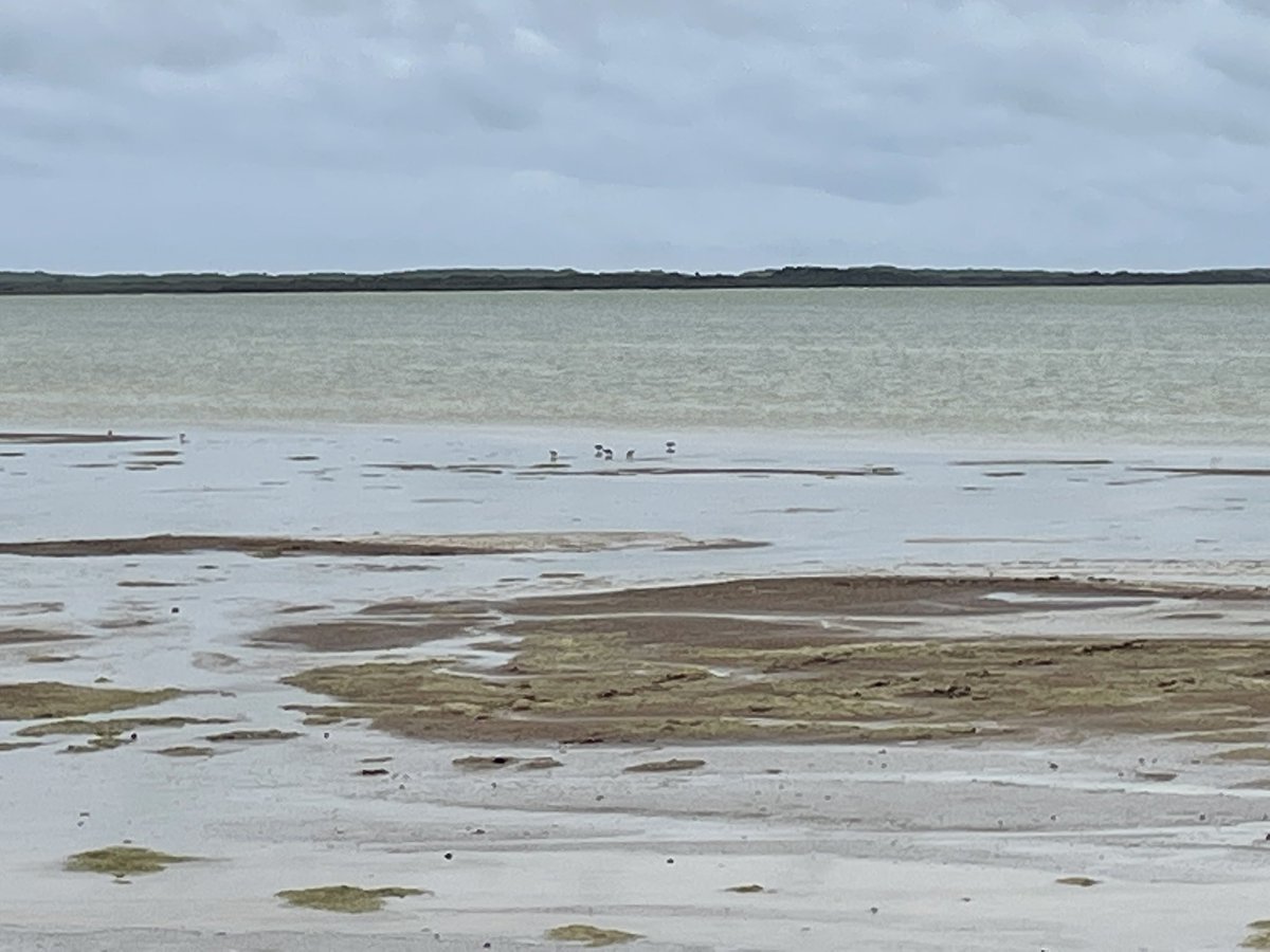 Our #LakeGeorgeManagementCommittee is investigating locations for interpretive signage for visitors to #LakeGeorge. Apart from basic instructional advice signs we’re working w <a href="/LClandscapeSA/">Limestone Coast Landscape Board</a> Limestone Landscapes Board, #NPWS  <a href="/FisheriesSA/">Fisheries SA</a> #SEWCDB to provide interpretive signage.