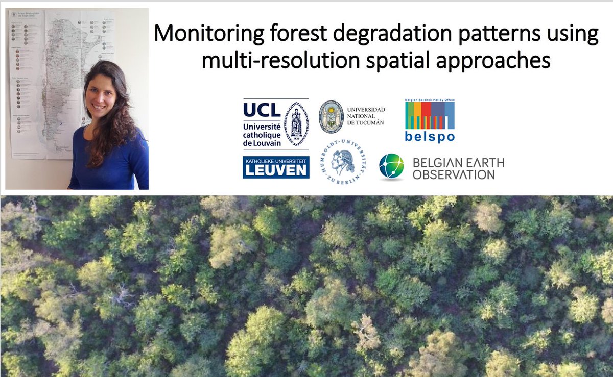 Veerle Vanacker tweet media