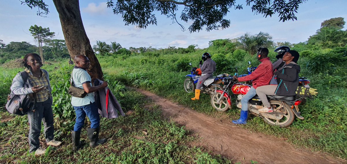 congodorpen's tweet image. On a mission with the Kinshasa and Louvain team and with CDI Bwamanda in the Boto region in Sud Ubangi, DR Congo. #drcongo #congodorpen #sudubangi #gemena