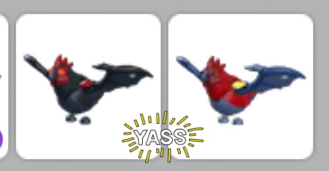 Quick Giveaway to 💥Followers💥only!!
1st: Evil Chickatrice
2nd: Normal one
Rules:
Like &amp; Retweet!
Ends in 2hrs 💕
Unfollow= gw ban
#Adoptmetrades #adoptmetrading #Adoptmetrade #adoptme #adoptmetradings #adoptmegiveaways #adoptmeoffers #adoptmetraders #adoptmetrader #adoptmeoffer