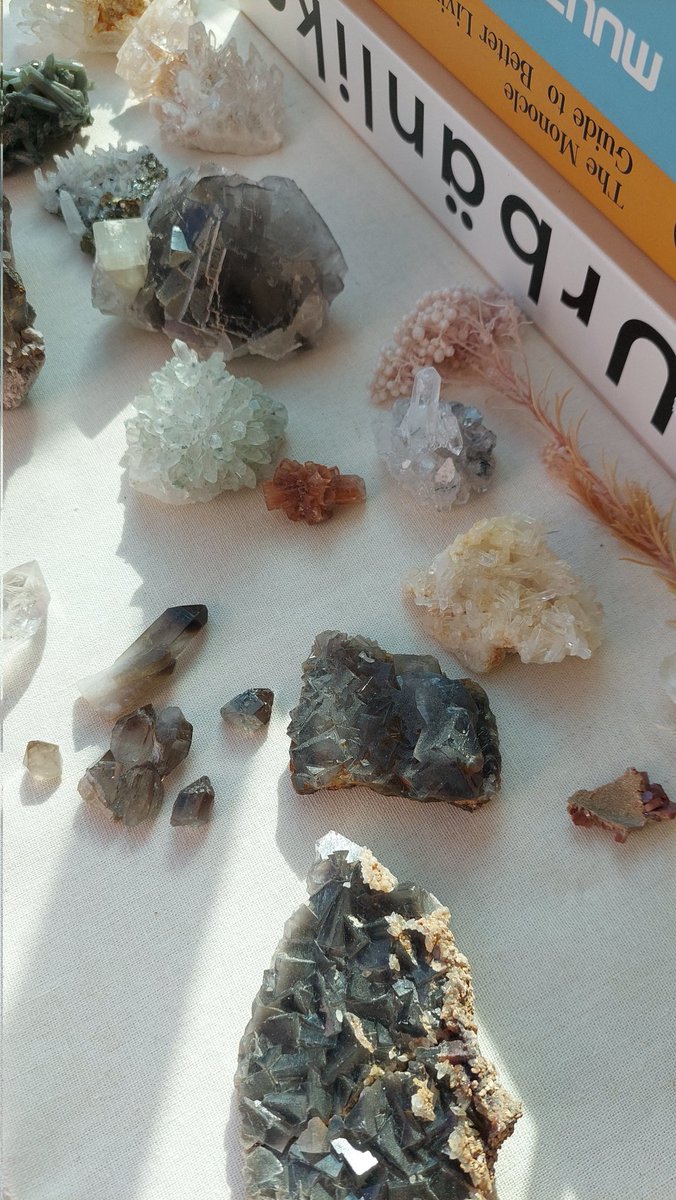 GeeksCrystal's tweet image. 오늘도 최고의 자연광!