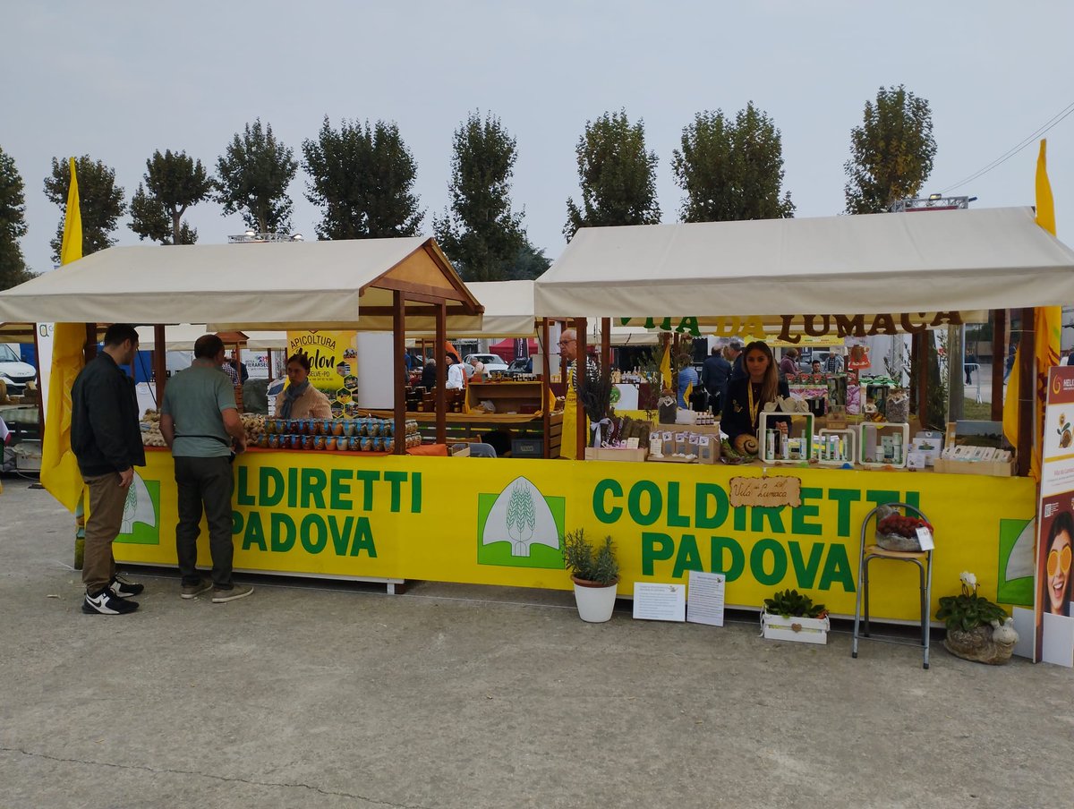 AntonioDePoli's tweet photo. Questa mattina si è tenuta la cerimonia di inaugurazione della 275a edizione della Fiera #Arsego Prodotti tipici dell’agricoltura, mostre del commercio e dell’artigianato, bestiame, macchine sono gli elementi tipici della tradizionale fiera.  
info: https://t.co/w5dFXuZLde https://t.co/oJwrGMaqQN