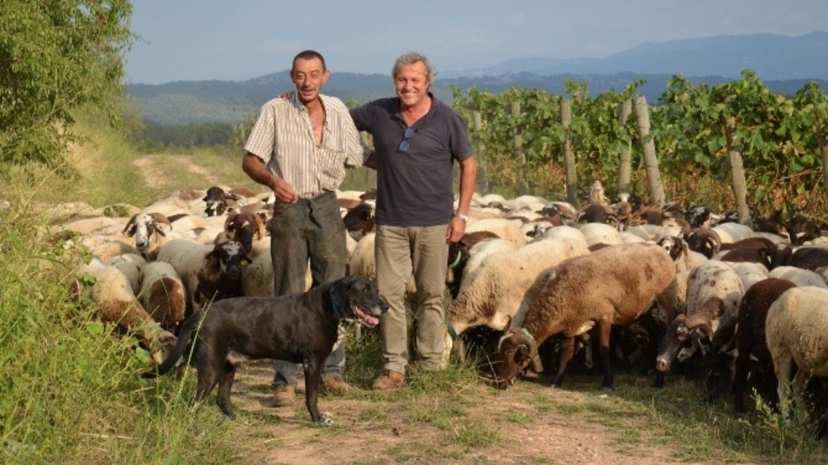 incavicat's tweet photo. 🍇 @tastvertical, a @CatalunyaRadio, ha parlat de l'estudi sobre la biodiversitat a les vinyes i la seva influència en els vins que s'hi elaboren 

🗨️ "Es replica el perfum de la vinya en els vins? La resposta és 'sí'. En parlem amb els cellers que han format part de l'estudi"

+ https://t.co/47xVwj98et