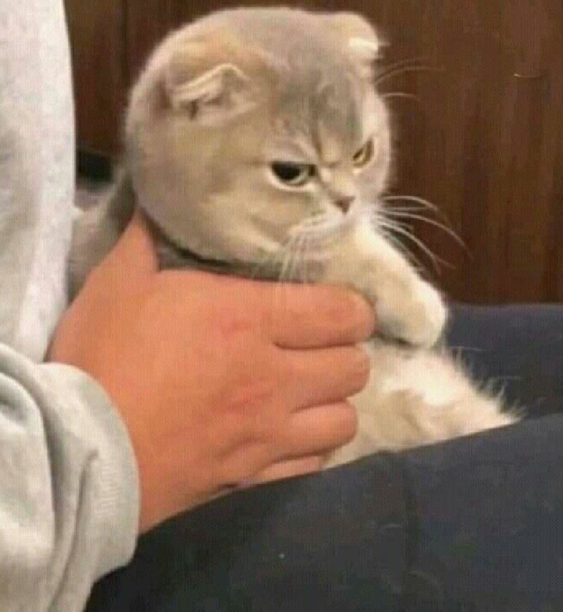 bib 🐥☕️ now on VGen! (@kapebeansies) on Twitter photo 