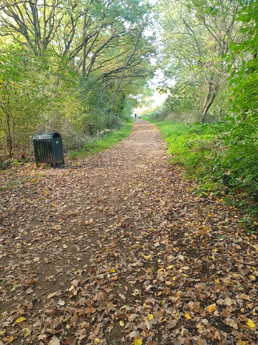 runwithandy's tweet photo. π€Beautiful day for a walk, a run a jog or whatever you do, make it count!ππ«Άπ½πππͺ΅ππ #goodafternoon #brent #ealing #sundayvibes #active #4mile #runwithandy #fitness #goodvibes #workout #october #london #autumn #training #ukrunchat #trailrunning #healthiswealth #runthroughuk https://t.co/c89V3PDiXk