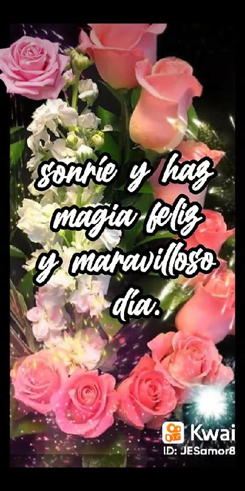 Norma Avalo (@avalnorma) on Twitter photo 