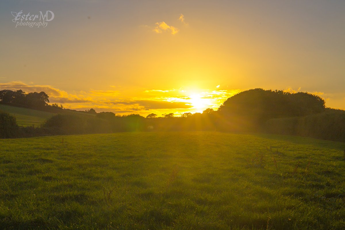 Ester Mira D. photography tweet media