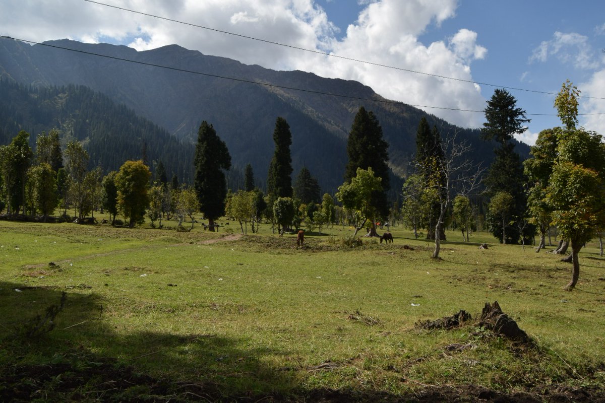 SohaibMushtaq__'s tweet photo. 🎉 Explore
🏞️Tourism is my hobby and I never miss an opportunity to explore a new place. 🌻
✅❤️ Last week we visited Kashmir (Wadi Neelam - Sharda - Arang Kiel). Amazing place on the roof of the mountain. Lush with wooden hut.🪵🛖
#ExtremeCommerce #amazon https://t.co/CWzeka3qU7