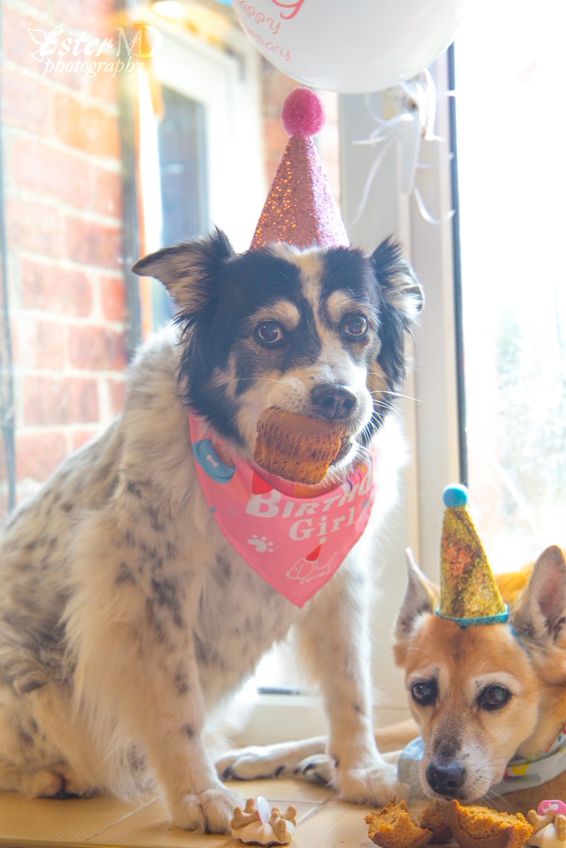 Ester Mira D. photography tweet media