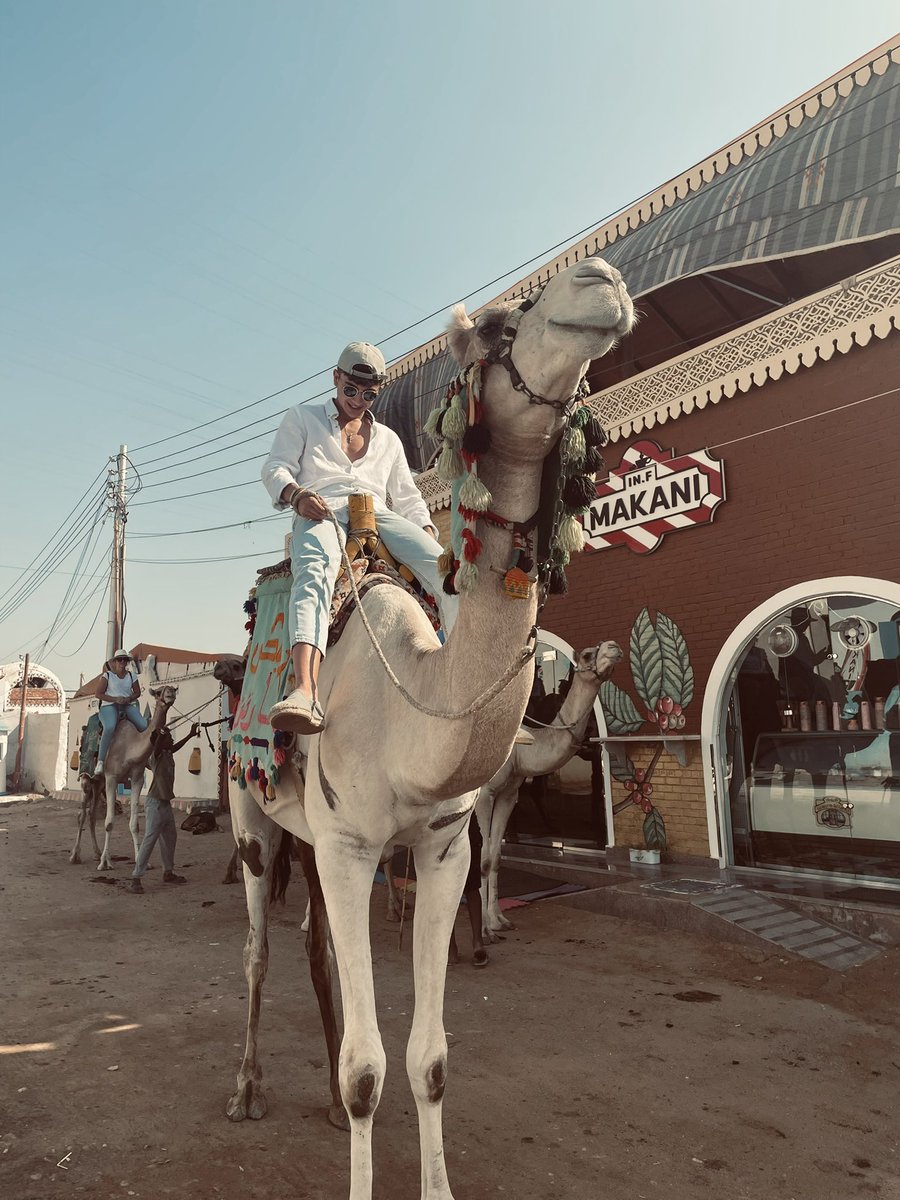 fufete's tweet photo. 🇪🇬🐫 https://t.co/BO4bst28cj