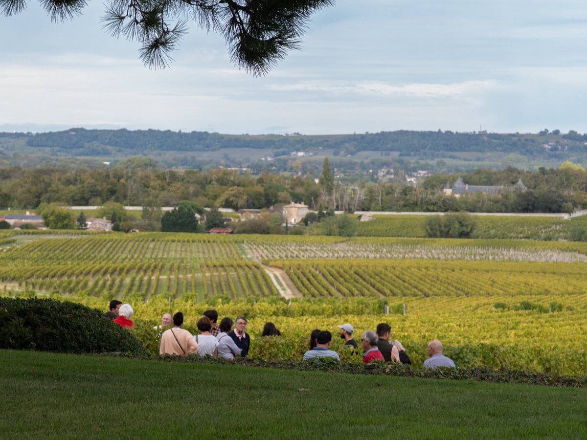 Château d'<a href="/Yquem_Official/">Château d'Yquem</a> estate, offered visitors a discovery of what makes its wine so special known as "noble rot". The visit starts in the vineyards, continuing in the laboratory and finishing in the underground cellars. 🍇

#LVMH #JPLVMH